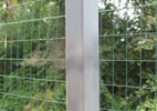 Zinco scuro spray